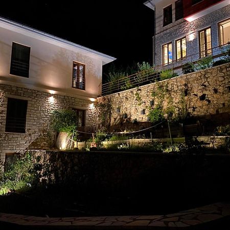 Arktos Hotel Ioannina Exterior photo
